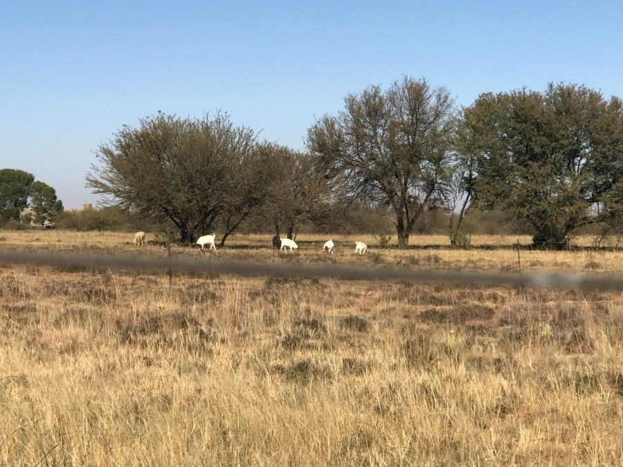 3 Bedroom Property for Sale in Bloemfontein Rural Free State